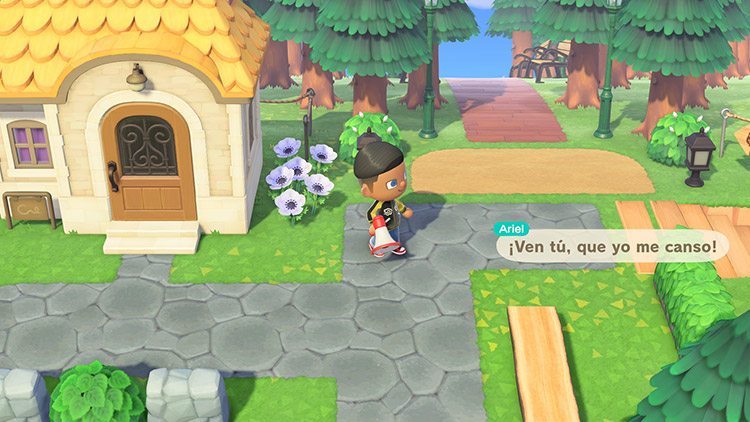 Animal Crossing: New Horizons – Nintendo Switch 2 Edition